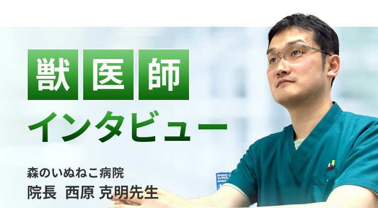 【獣医師推奨】インタビュー記事