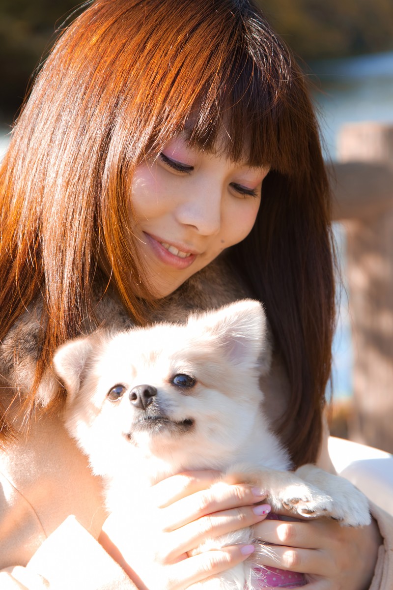 肩こりや筋肉疲労は人間だけじゃない!ワンちゃんだって疲れてる!