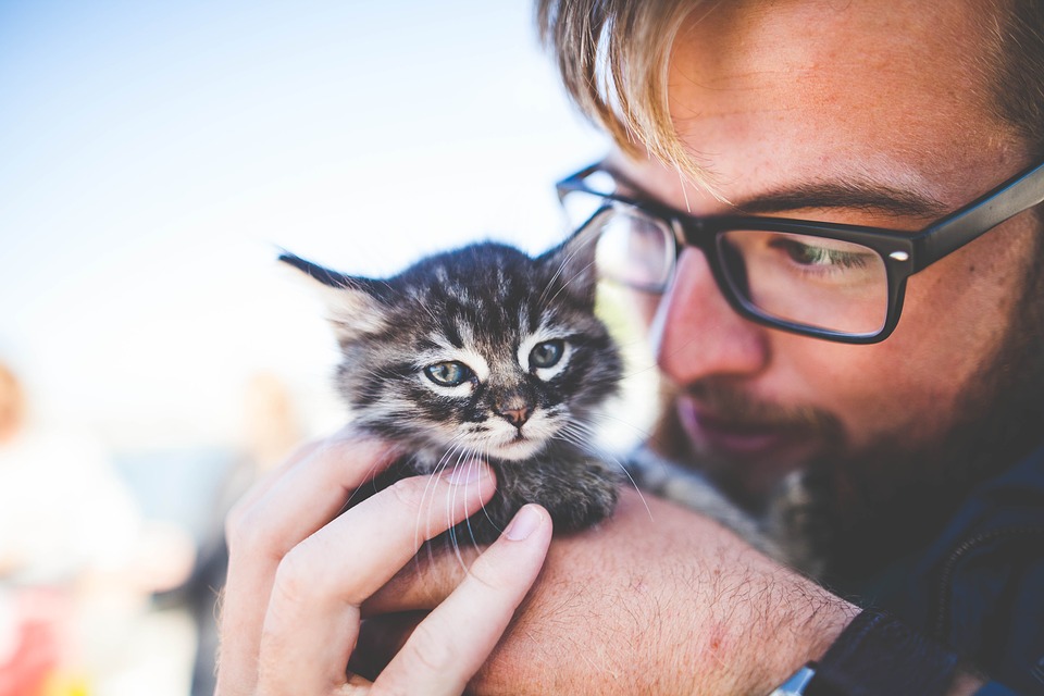 野良猫を保護したらまず何をするべき?野良猫を飼うために必要なことについて