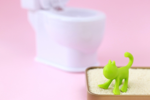 猫がトイレ以外で粗相をしてしまった!原因と対策