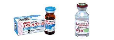 気管虚脱に対する内科的治療法