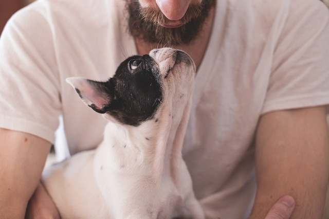犬と飼い主さんの絆を深める「オキシトシン」見つめ合って触れ合って
