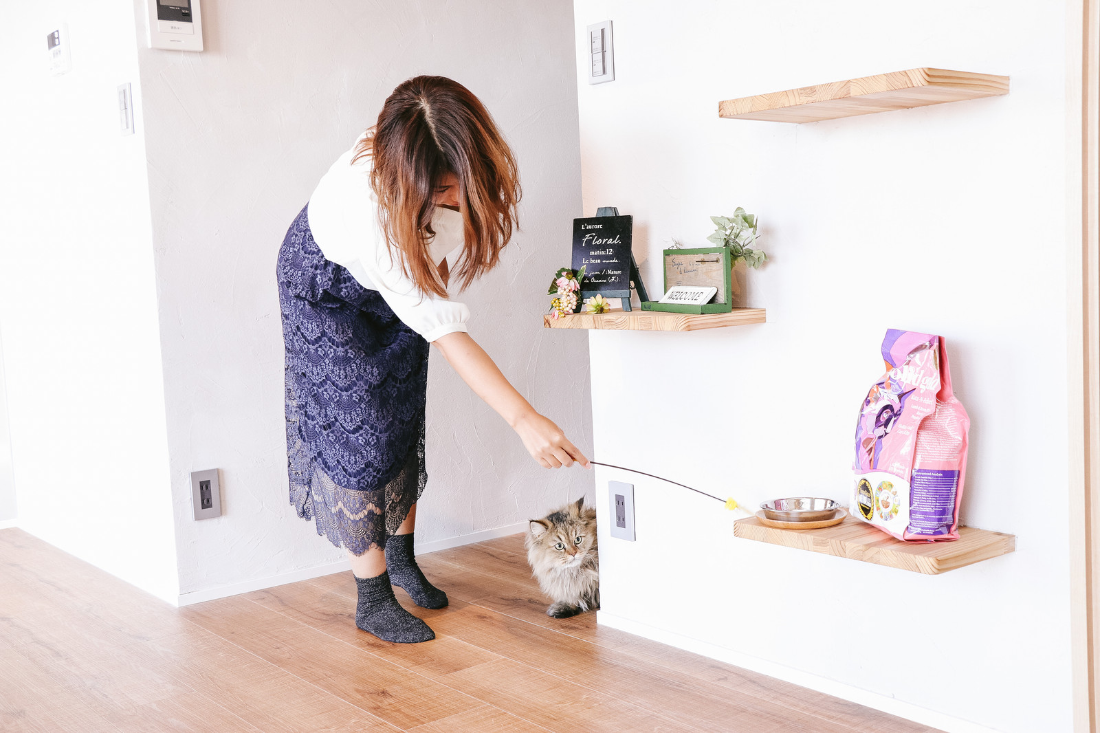 ペットシッターはどんなことまでしてくれる?猫編