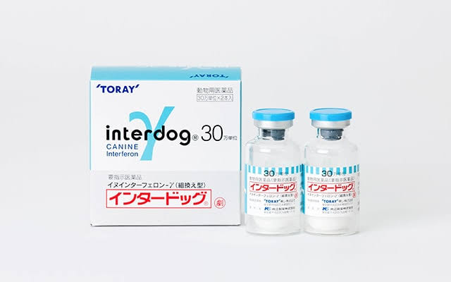 犬のアレルギー性皮膚炎に対する最新治療