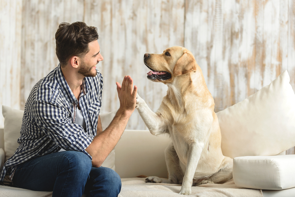 ペットシッターに依頼する時の注意点。中型犬・大型犬版