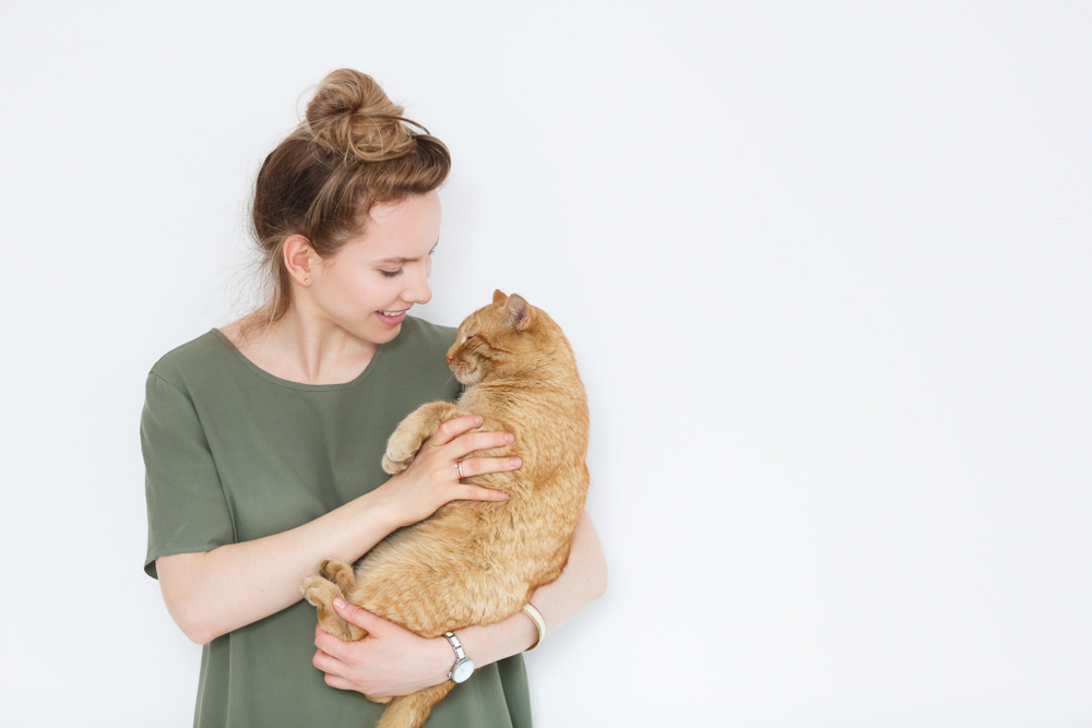 キャットシッターだからできる愛猫に特化したシッティングとは?