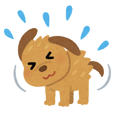 自然乾燥はダメ! 犬の毛を乾かす時の注意点