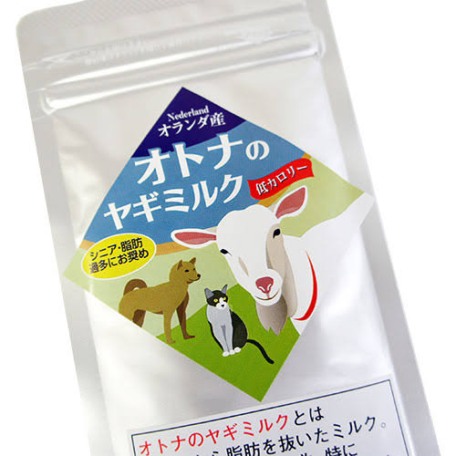 愛犬と一緒におでかけ!意外と必要なものは?