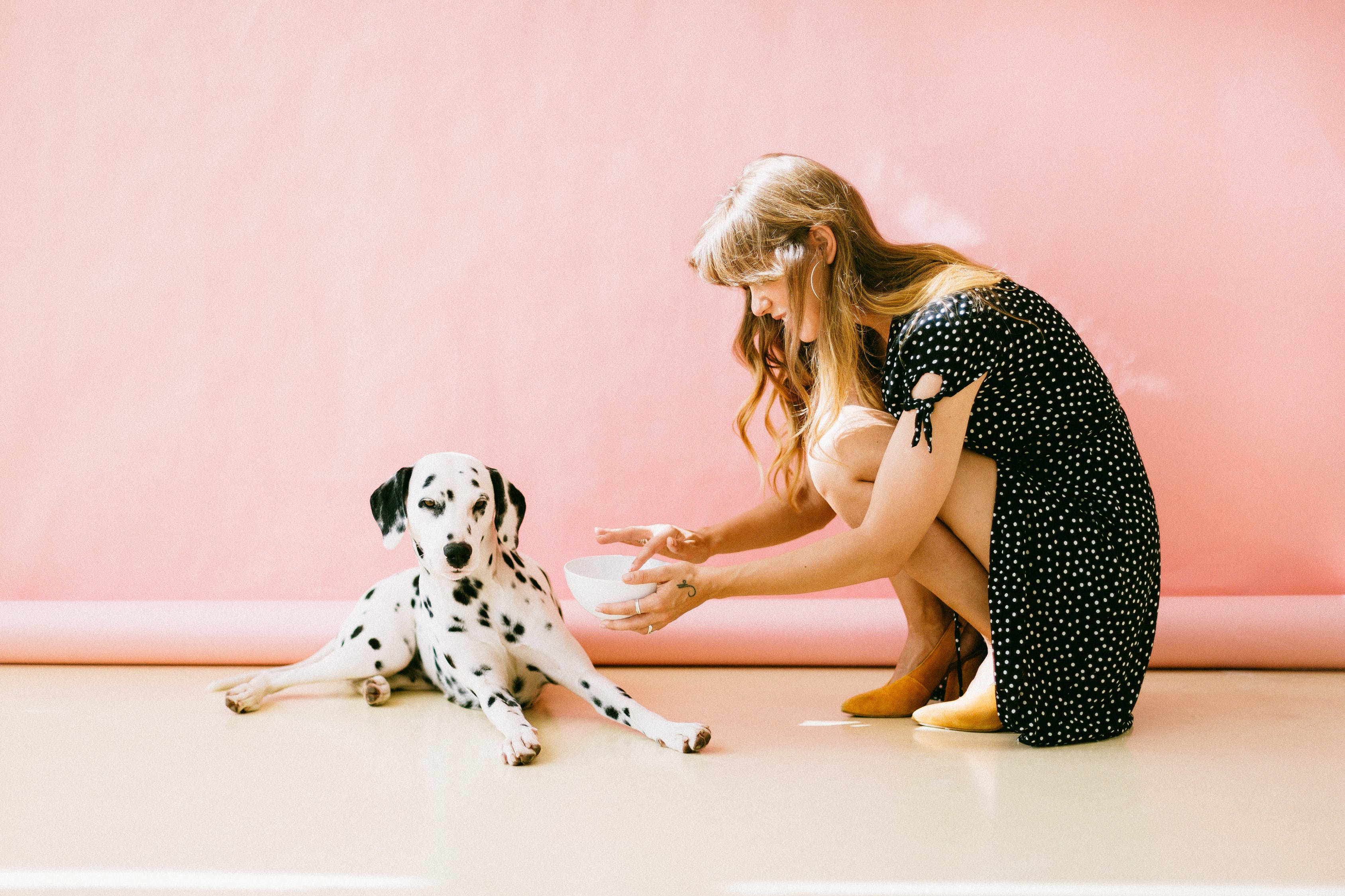 犬だってストレスを感じている!原因・行動・仕草・解消法