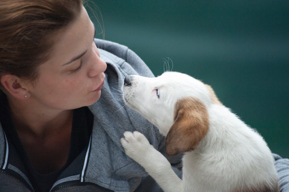 犬に好かれる人・嫌われる人