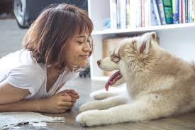 犬が食べてはいけない物と理由