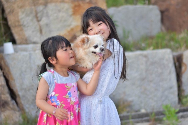 犬だって「ハグが好き」犬の気持ちと愛情を確かめ合う方法