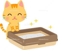原因不明⁉猫の特発性膀胱炎を理解する!