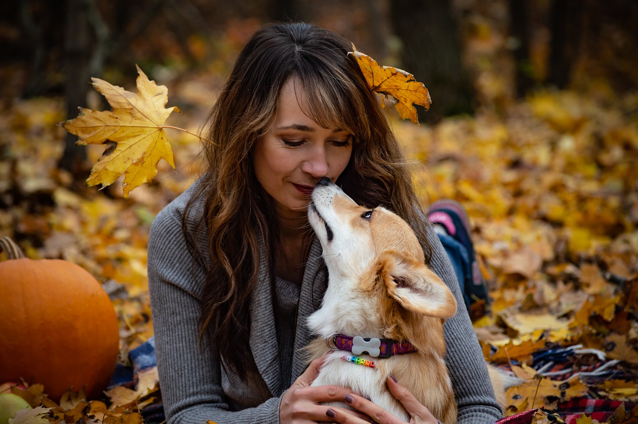 犬の便と健康