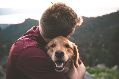 愛犬に愛されたいならこれ!
