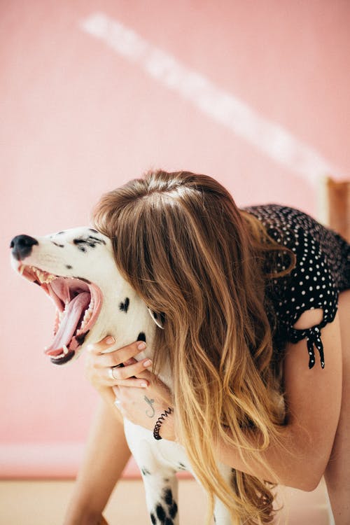 愛犬に愛されたいならこれ!