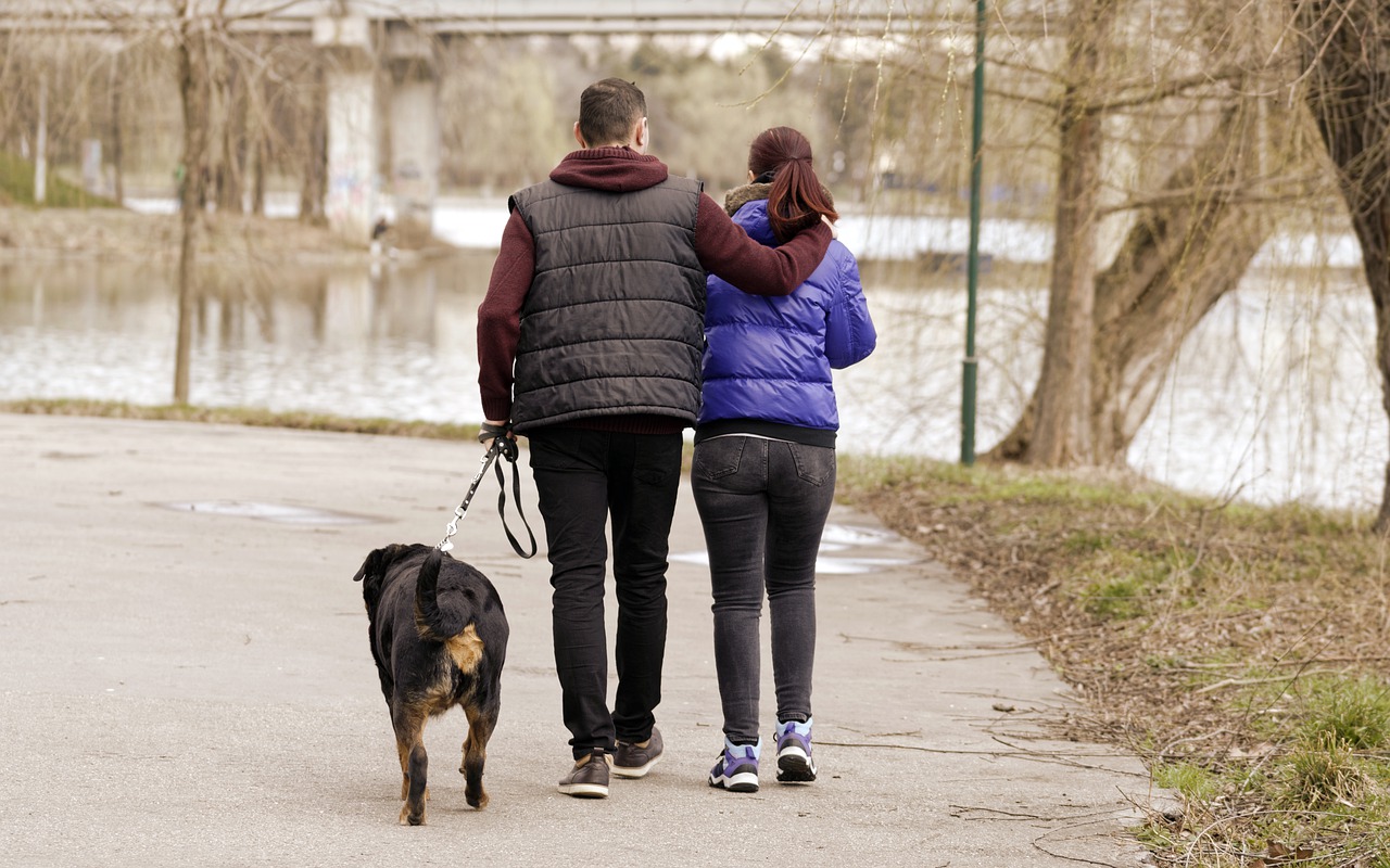 犬を飼うって大変?!後悔しないために確認すべき3つのこと