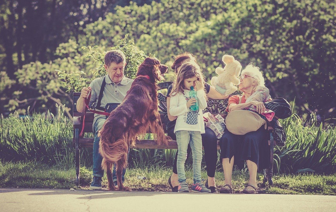 犬を飼うって大変?!後悔しないために確認すべき3つのこと
