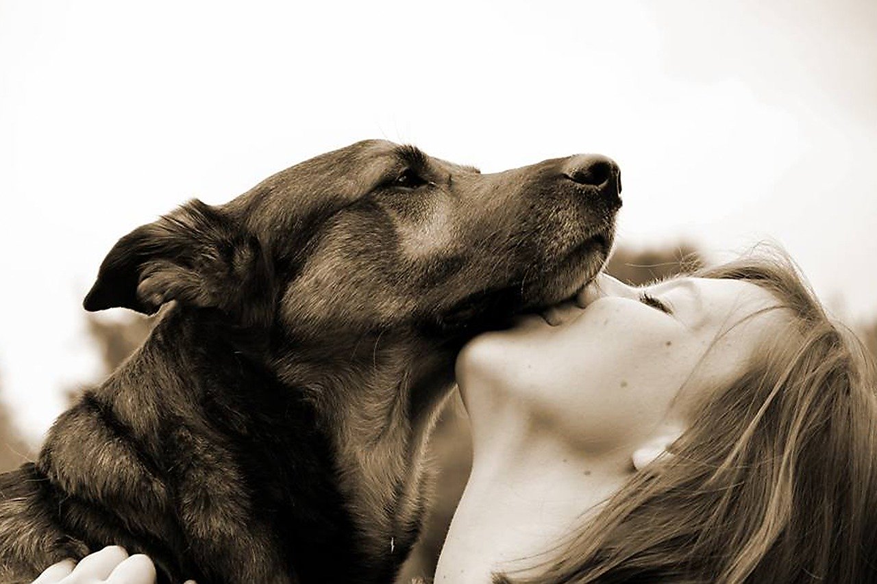 犬を飼うって大変?!後悔しないために確認すべき3つのこと