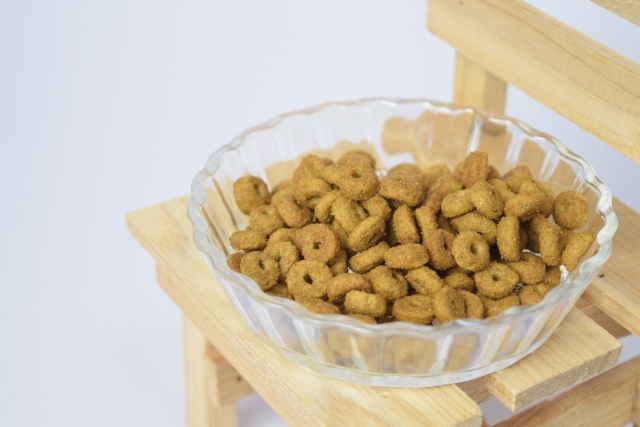 ドッグフードには総合栄養食と一般食があるけど違いは?
