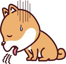 犬の炎症性腸疾患って何?「慢性嘔吐や下痢を引き起こす」