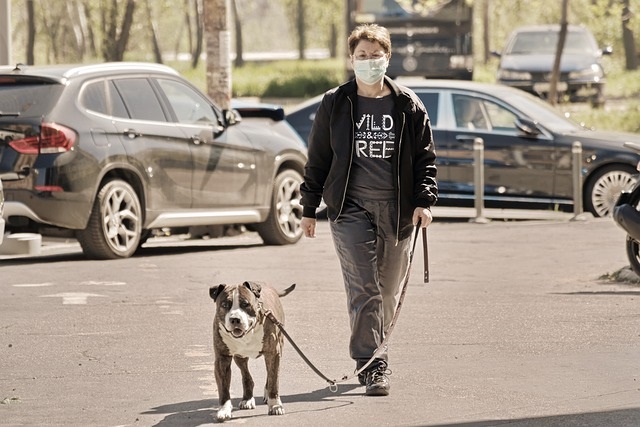 犬に増えるマスクのトラブルとは?