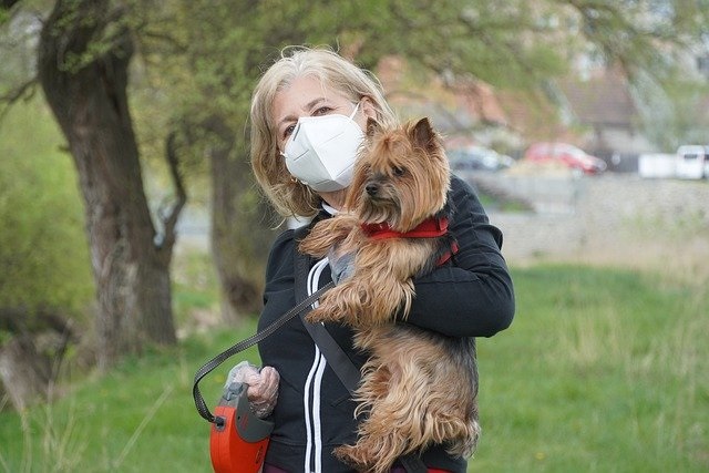 犬に増えるマスクのトラブルとは?