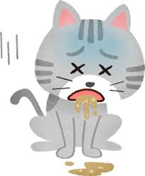 猫の炎症性腸疾患の理解を深める！症状、診断、治療法を解説！