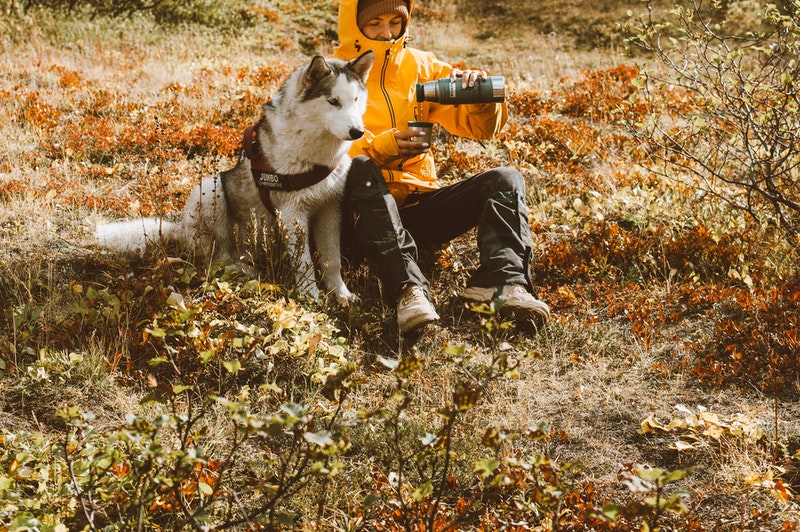 犬と一緒に楽しむ旅行【温泉・ホテル3選~九州編】ペットツーリズム