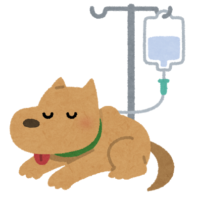 犬の蛋白漏出性腸症って何?厄介な消化器疾患を解説!