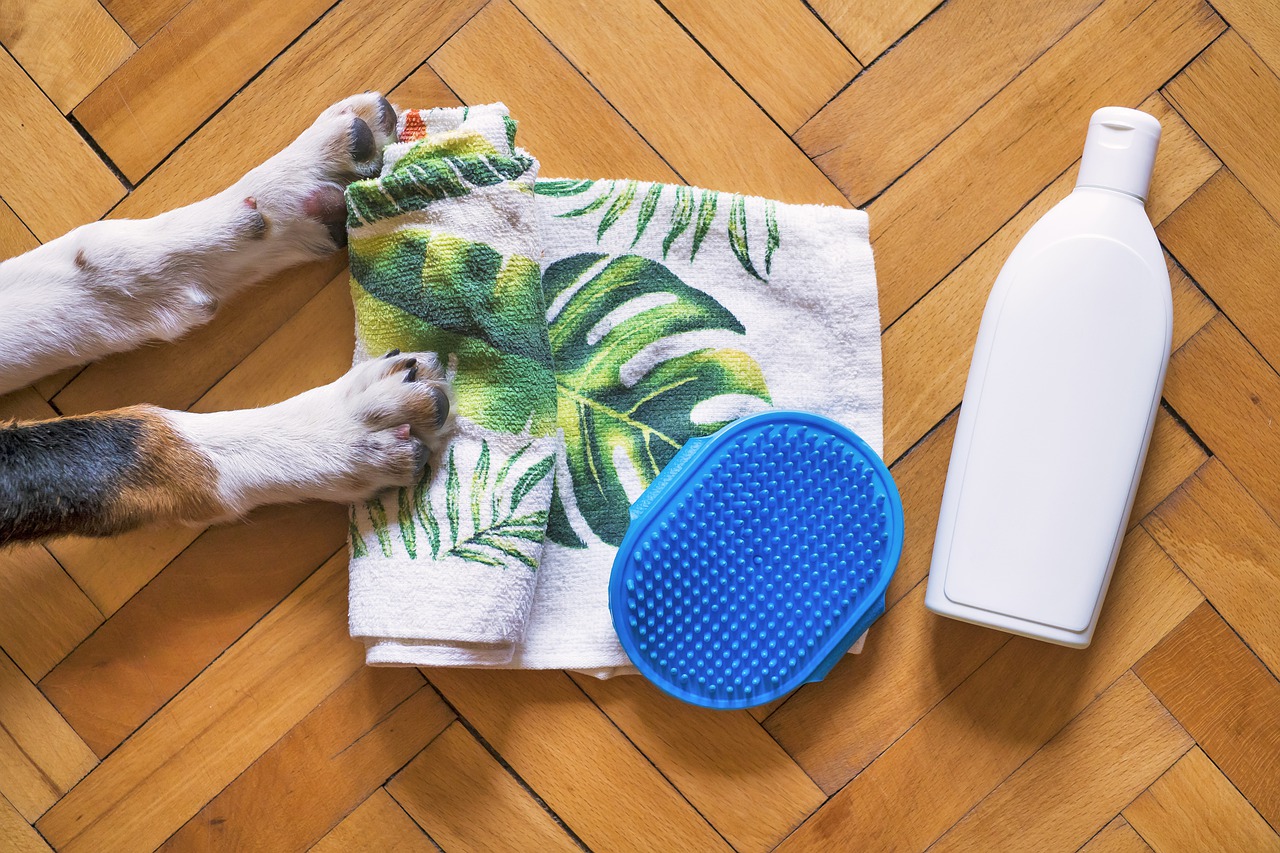 犬専用のシャンプーって必要なの?犬のシャンプーの選び方