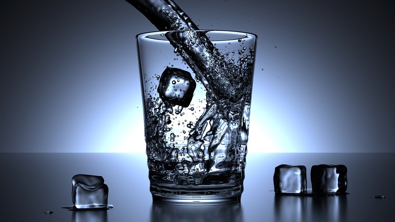 犬の飲み水に注意？硬水と軟水ならどっちをあげたほうが良いのか