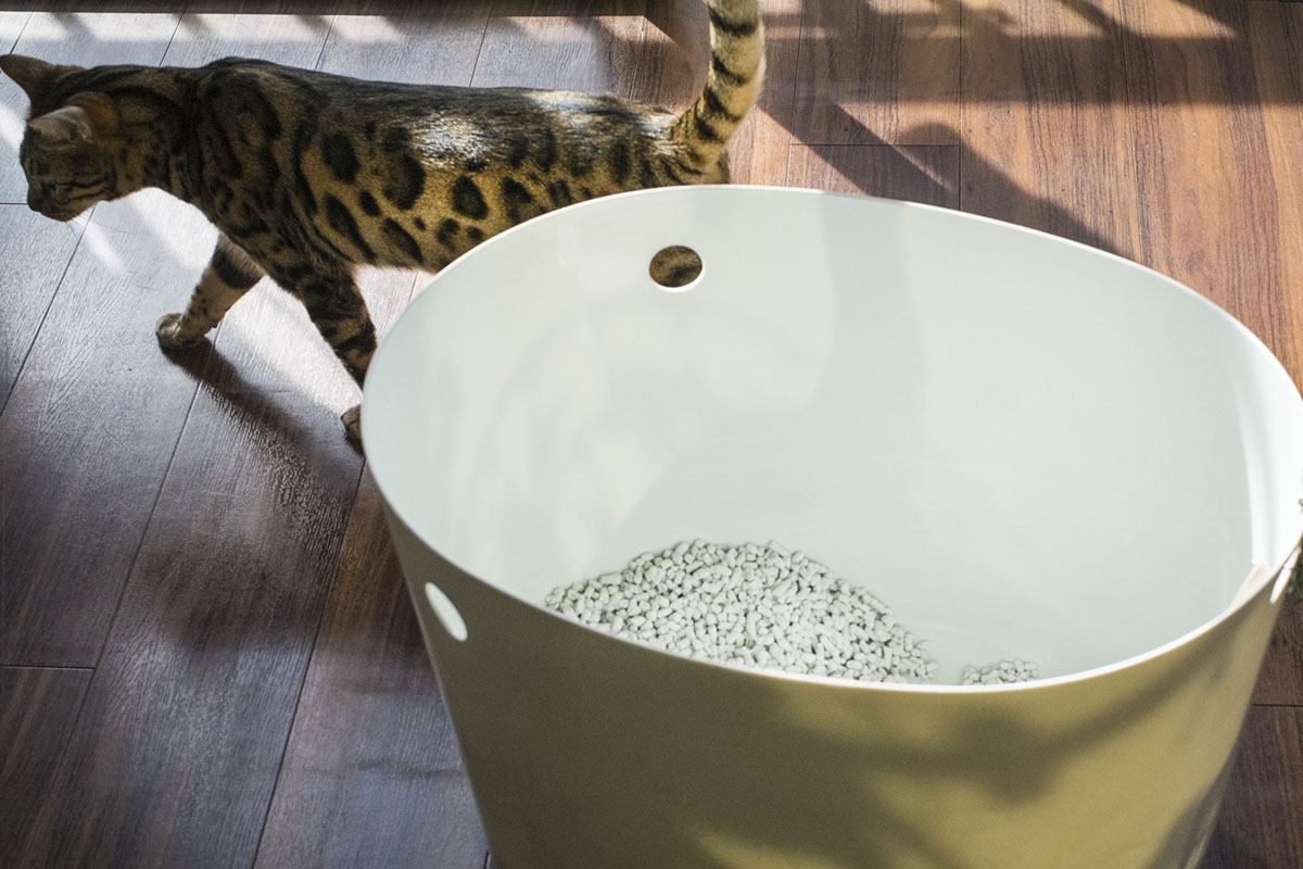 猫が喜ぶ快適なトイレ環境とは?