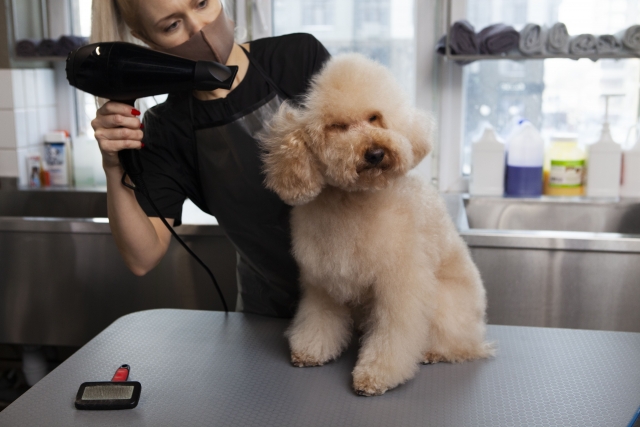 犬にリンスは必要?リンスの役割や注意点について解説