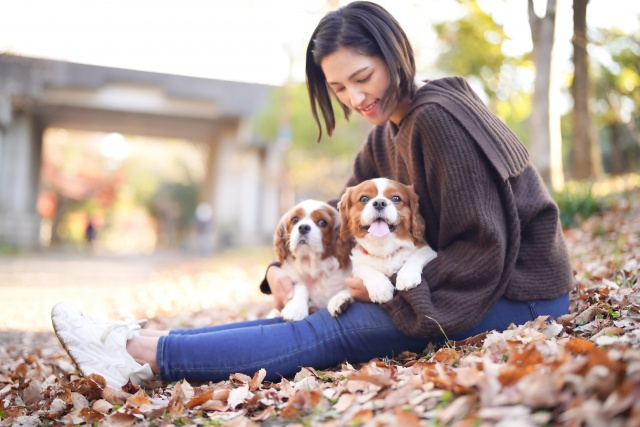 ペットロスを重症化させないためペットの生前から飼い主にできること