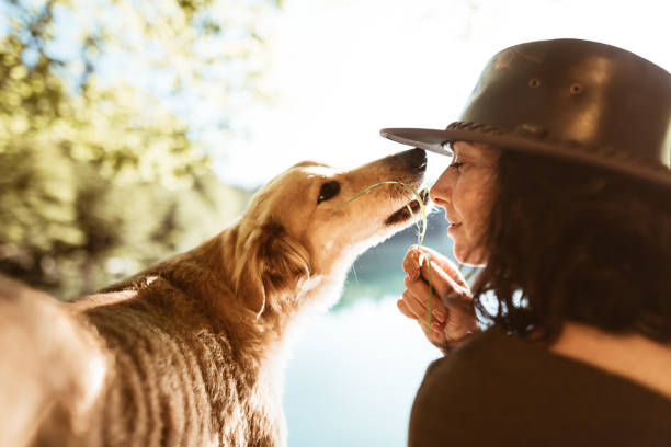 僕が守るよ!愛犬が飼い主を守る行動や仕草