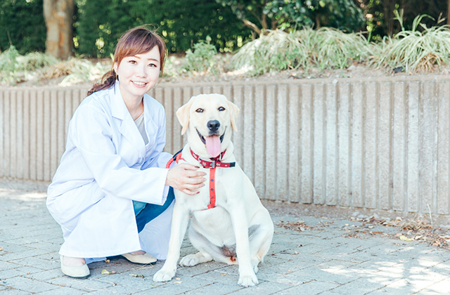 マイクロチップを犬に装着するメリットはなに? 登録する方法とは?