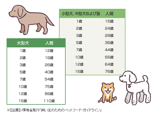 人も犬も高齢化「犬の老化の色々なサイン」日々のチェックを大切に。