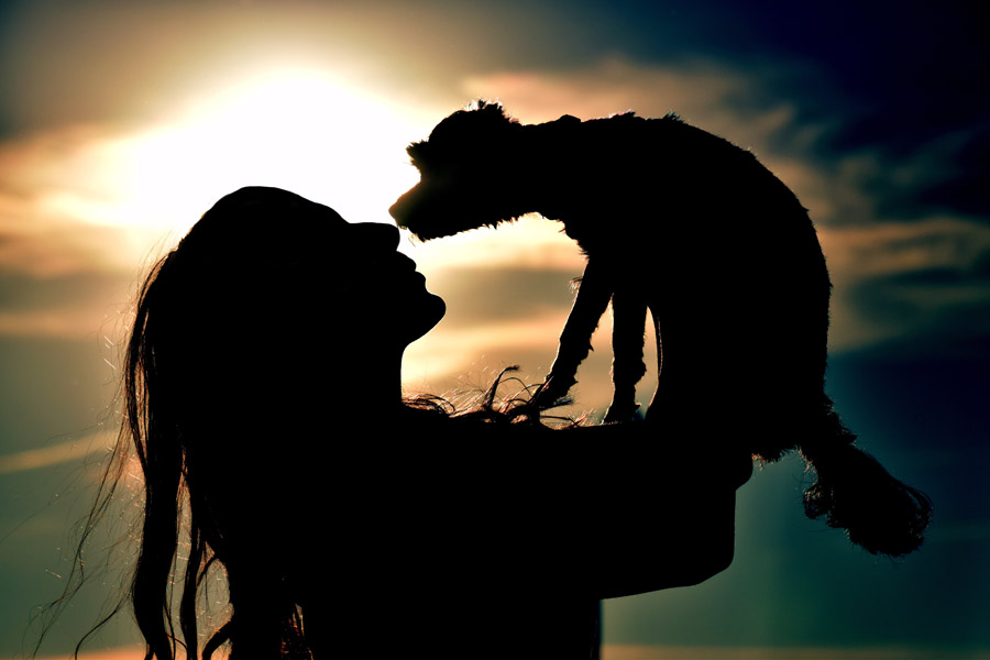 犬の一生を支える「骨格」とは? 骨や関節の事を知って健康管理を!