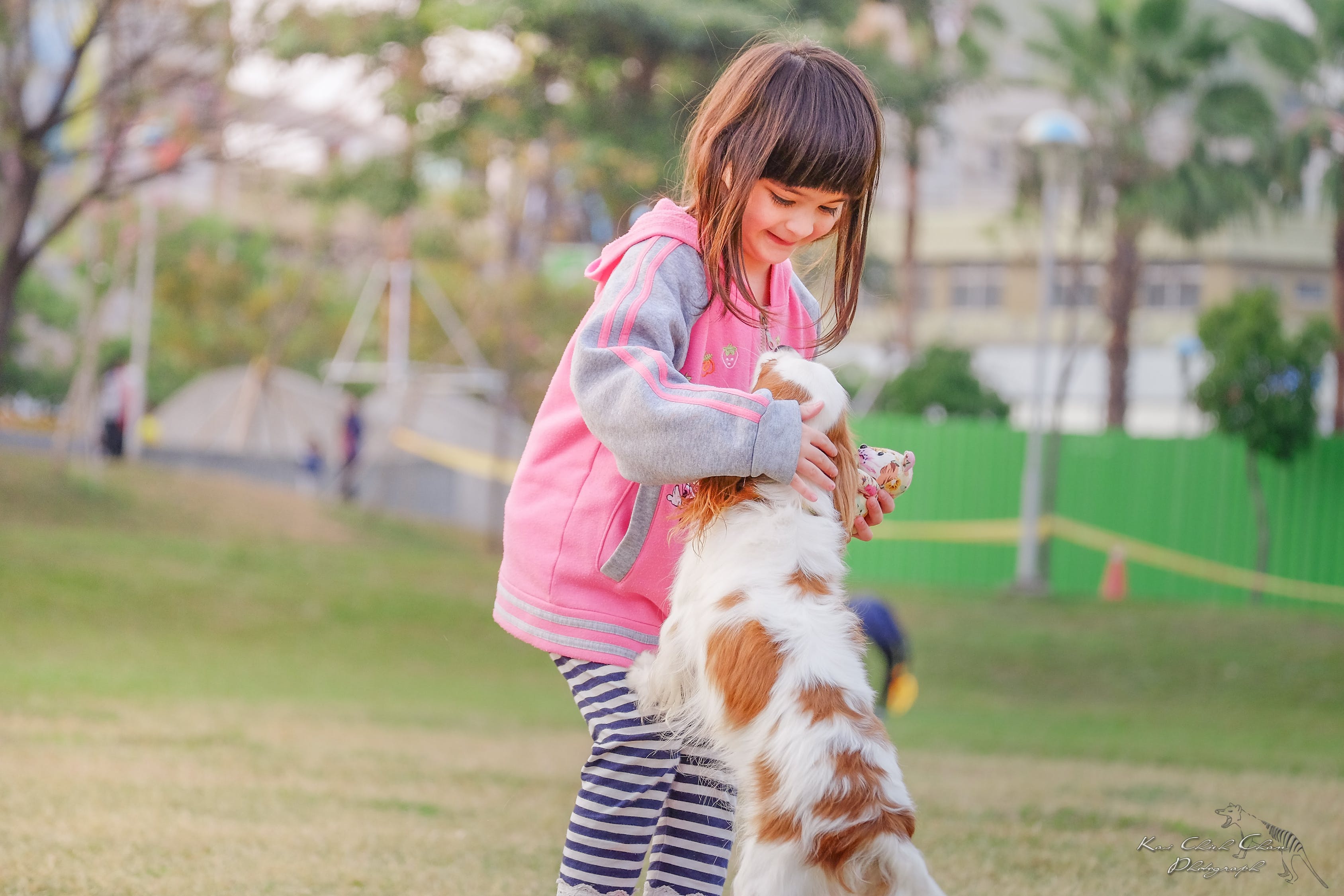 犬は怖かったり、寂しかったりする？留守番させる時の準備と注意点